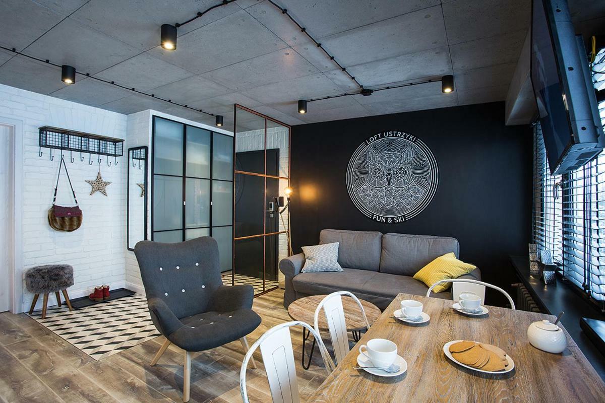 Loft Ustrzyki Apartment Ustrzyki Dolne